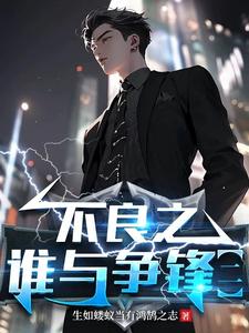 不良之谁与争锋小说完整版