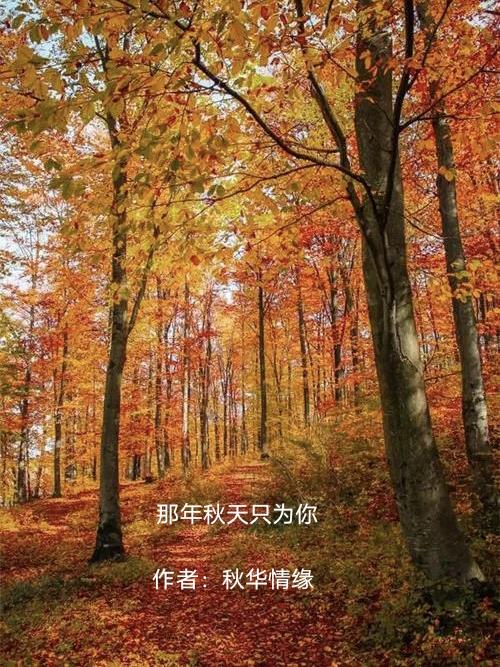 那年秋天只为你那年秋天只为你